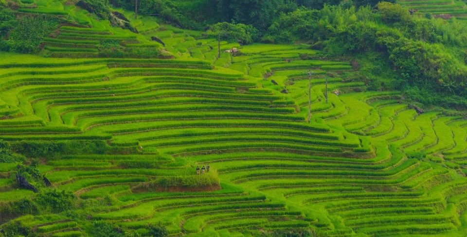 Kho gạo của Thủy Thêm